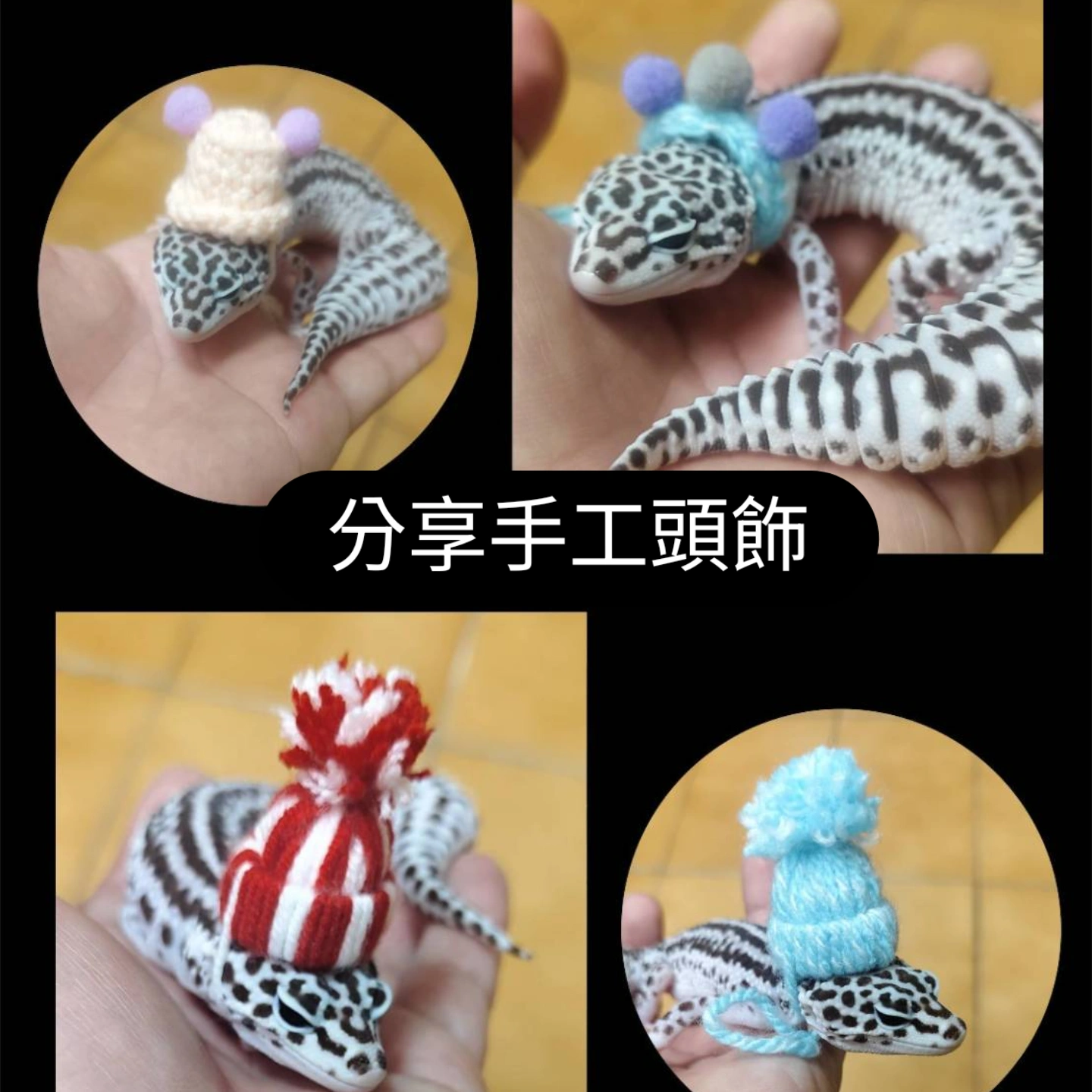 H&W宮坊 — 守宮戴上手工編織毛帽